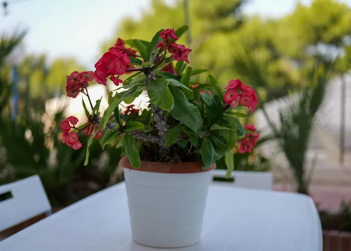 Yurta Glamping San Leone & Casa Baia Blu Nocleg ze śniadaniem 3*