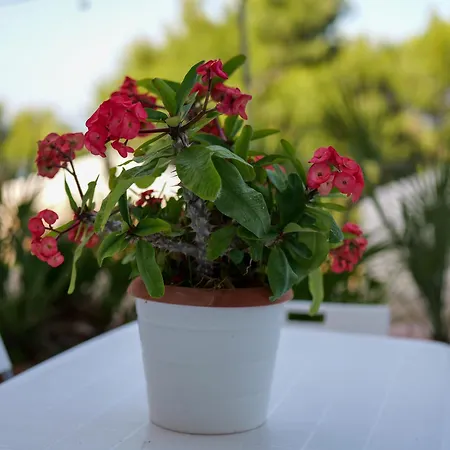 Yurta Glamping San Leone & Casa Baia Blu Couette-café 3*